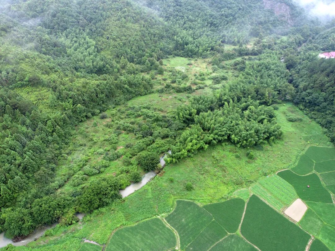 DJI_0257-.jpg